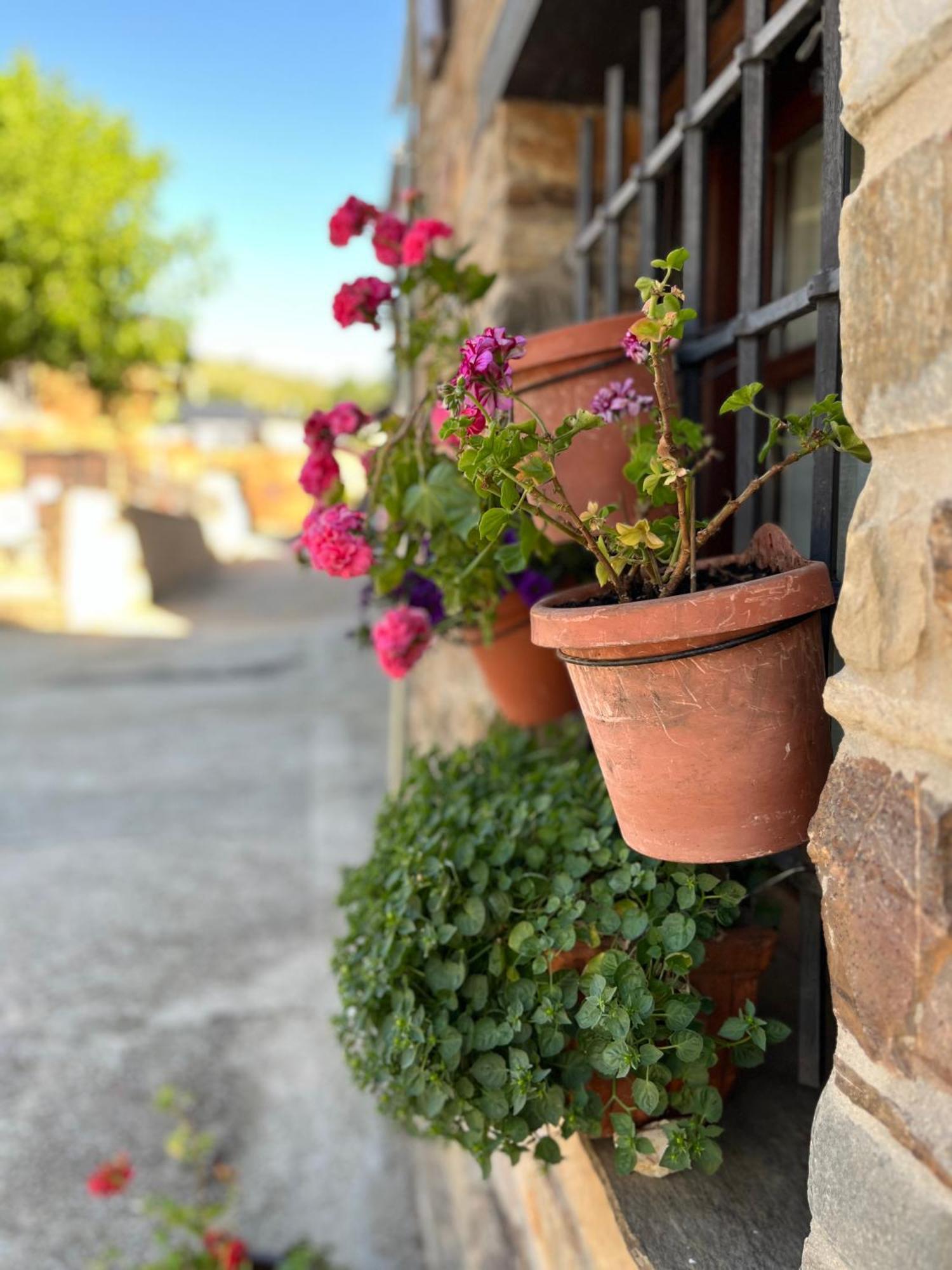 Vila La Casina De Gelo Riego de Ambros Exteriér fotografie