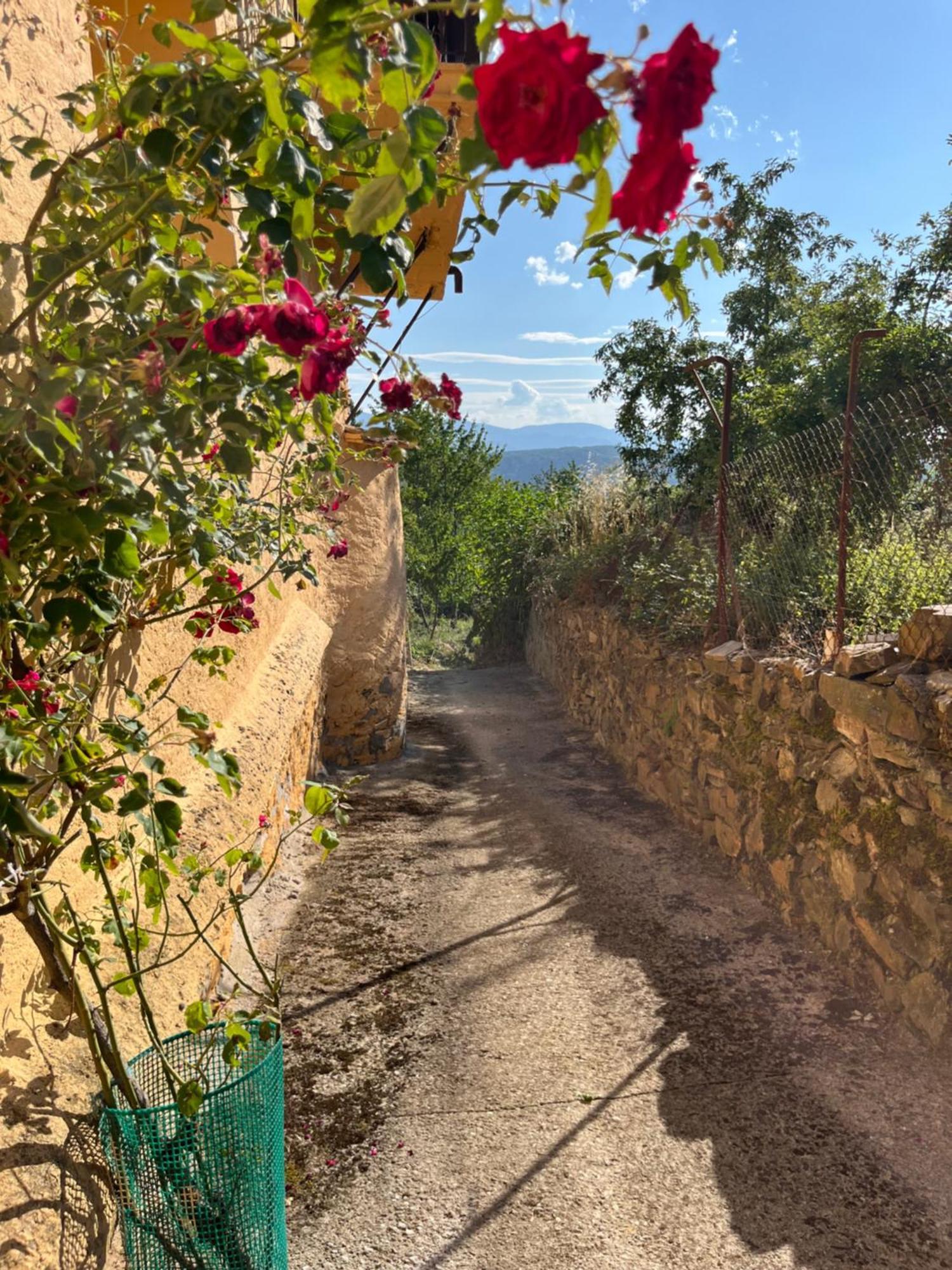 Vila La Casina De Gelo Riego de Ambros Exteriér fotografie